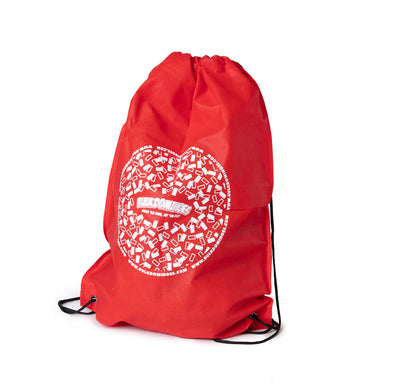 special bag with dominoes